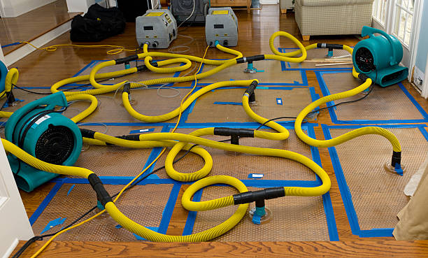 Professional Water Extraction technician working in Laurel, IN